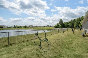 Dog park